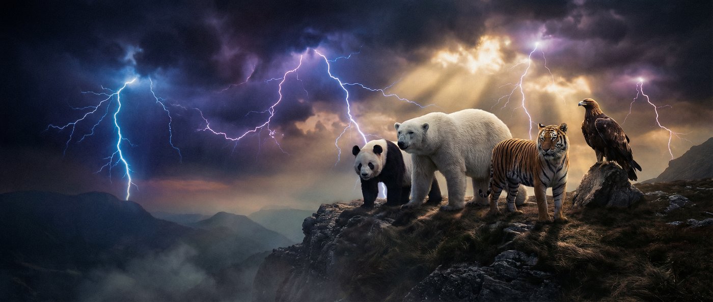 兄妹乱伦动物写真视频社区